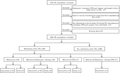 Correlation between diameter of esophageal varices and early rebleeding following endoscopic variceal ligation: a multicenter retrospective study based on artificial intelligence-based endoscopic virtual rule
